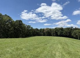 20.92 Acres Wilson’s Lane, High View, WV 26808