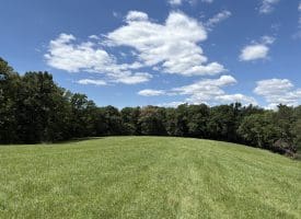 20.92 Acres Wilson’s Lane, High View, WV 26808