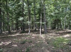 20.92 Acres Wilson’s Lane, High View, WV 26808
