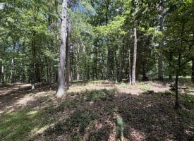 20.92 Acres Wilson’s Lane, High View, WV 26808