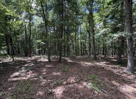 20.92 Acres Wilson’s Lane, High View, WV 26808