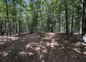 20.92 Acres Wilson’s Lane, High View, WV 26808