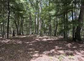 20.92 Acres Wilson’s Lane, High View, WV 26808