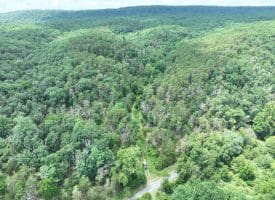 7313 Little Cacapon Rd., Romney, WV  26757