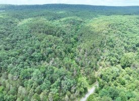 7313 Little Cacapon Rd., Romney, WV  26757