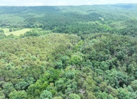 7313 Little Cacapon Rd., Romney, WV  26757