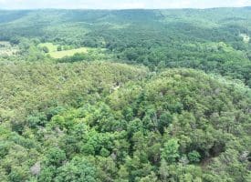 7313 Little Cacapon Rd., Romney, WV  26757