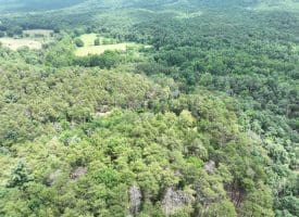7313 Little Cacapon Rd., Romney, WV  26757