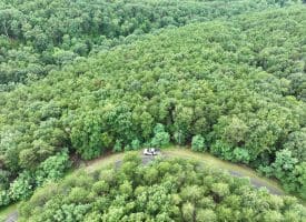 Lot 126 Bluffs Blue Beach Road, Springfield, WV 26763