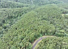 Lot 126 Bluffs Blue Beach Road, Springfield, WV 26763