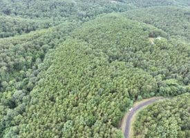 Lot 126 Bluffs Blue Beach Road, Springfield, WV 26763