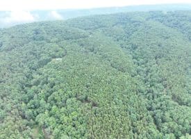 Lot 126 Bluffs Blue Beach Road, Springfield, WV 26763