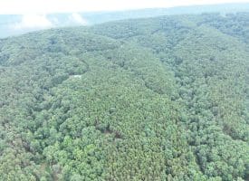 Lot 126 Bluffs Blue Beach Road, Springfield, WV 26763
