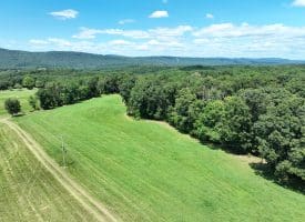20.92 Acres Wilson’s Lane, High View, WV 26808