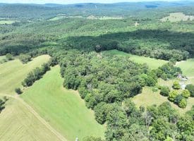 20.92 Acres Wilson’s Lane, High View, WV 26808
