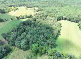 20.92 Acres Wilson’s Lane, High View, WV 26808