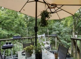 506 Strawberry Ln, Augusta, WV  26704