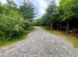172 Majestic Ln., Springfield, WV  26763