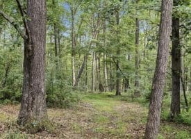 506 Strawberry Ln, Augusta, WV  26704