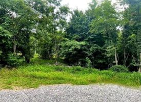 172 Majestic Ln., Springfield, WV  26763