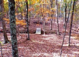 Lot 29 Deer Ridge Estates, Springfield, WV  26763