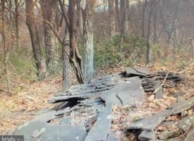 Lot 337 Nathaniel Mt. Rd., Moorefield WV  26836