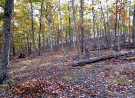 Lot 29 Deer Ridge Estates, Springfield, WV  26763