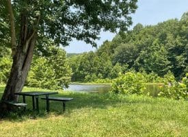 172 Majestic Ln., Springfield, WV  26763