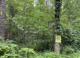 8.34 Acres On Arnold Stickley Rd., Green Spring, WV  26722