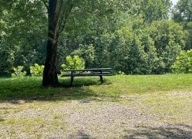 172 Majestic Ln., Springfield, WV  26763