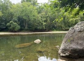 8.34 Acres On Arnold Stickley Rd., Green Spring, WV  26722