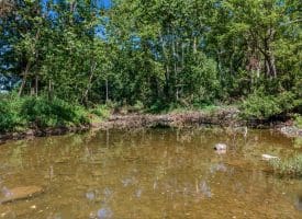765 Whitetail Crossing Road, Augusta, WV 26704