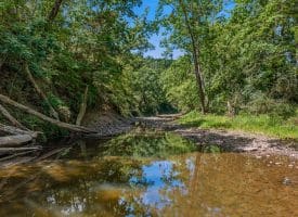 765 Whitetail Crossing Road, Augusta, WV 26704