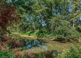 765 Whitetail Crossing Road, Augusta, WV 26704