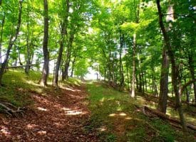 10.1 Ac Waxler Road, Keyser, WV  26726