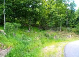 10.1 Ac Waxler Road, Keyser, WV  26726