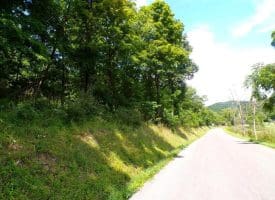 10.1 Ac Waxler Road, Keyser, WV  26726