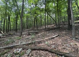 19.36 AC Penneroil Road, New Creek, WV 26743