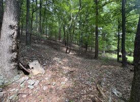 19.36 AC Penneroil Road, New Creek, WV 26743
