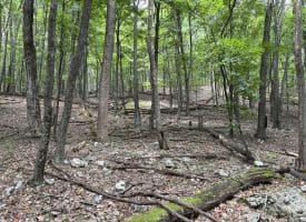 19.36 AC Penneroil Road, New Creek, WV 26743