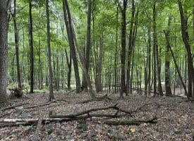 19.36 AC Penneroil Road, New Creek, WV 26743