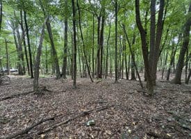 19.36 AC Penneroil Road, New Creek, WV 26743