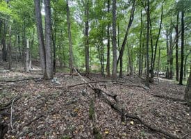 19.36 AC Penneroil Road, New Creek, WV 26743