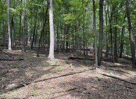 19.36 AC Penneroil Road, New Creek, WV 26743