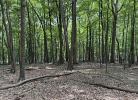 19.36 AC Penneroil Road, New Creek, WV 26743