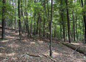 19.36 AC Penneroil Road, New Creek, WV 26743