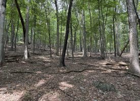 19.36 AC Penneroil Road, New Creek, WV 26743