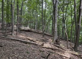 19.36 AC Penneroil Road, New Creek, WV 26743