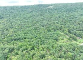 19.36 AC Penneroil Road, New Creek, WV 26743