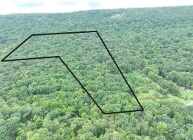 19.36 AC Penneroil Road, New Creek, WV 26743